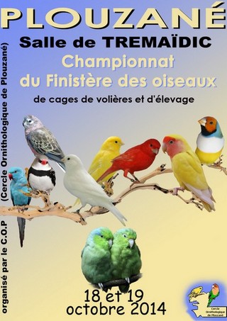 Championnat du Finistère des Oiseaux 2014