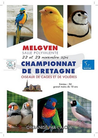 Championnat de Bretagne des Oiseaux 2016