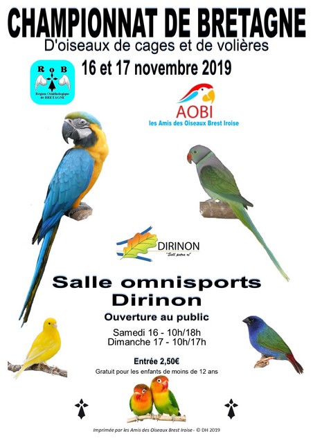 Championnat de Bretagne des Oiseaux 2019