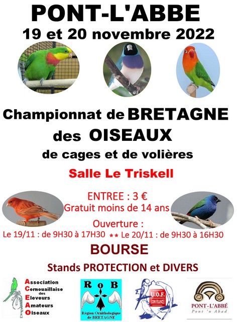 Championnat de Bretagne des Oiseaux 2022