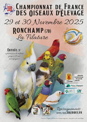 Championnat de France des Oiseaux 2025