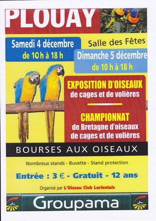 Championnat de Bretagne des Oiseaux 2010