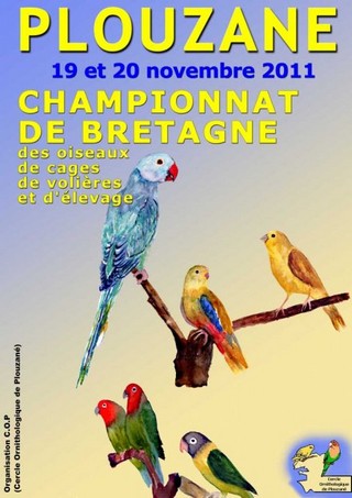 Championnat de Bretagne des Oiseaux 2011