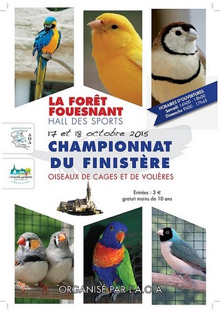 Championnat du Finistère des Oiseaux 2015
