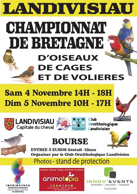 Championnat de Bretagne des Oiseaux 2023